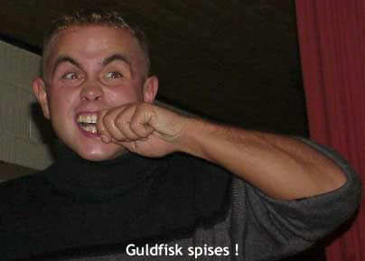 Guldfisk spises
