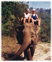 Dorte og Mette p elefantryg